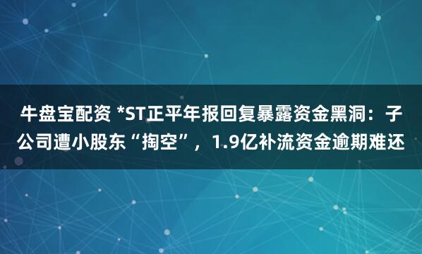牛盘宝配资 *ST正平年报回复暴露资金黑洞：子公司遭小股东“掏空”，1.9亿补流资金逾期难还